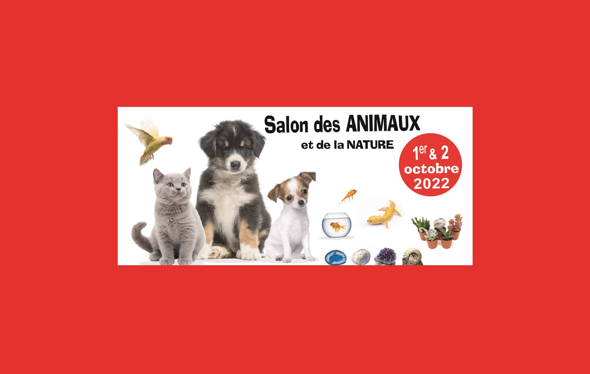 1er Salon des Animaux et de la Nature Zanimales - Parc des expositions ...